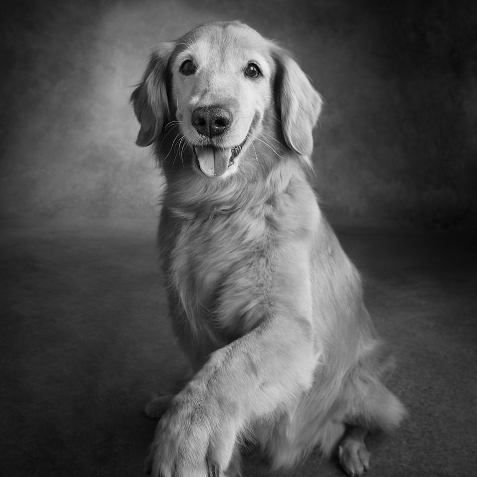 Lola – Meet and Greet Ambassador