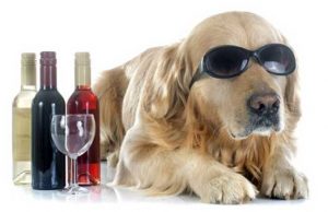 Wine and Candle Contest 2021