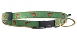 Flat Buckle Collar