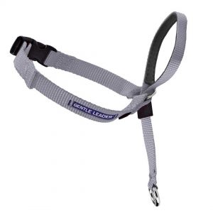 Head Collar