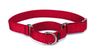 Martingale Collar