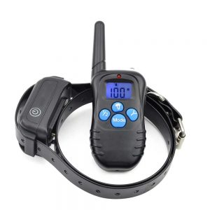 Shock Collar