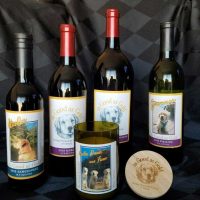 Wine and Candle Contest