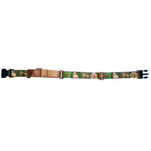 Golden Retriever No Slip Collar, Adjustable 16-24 in Green