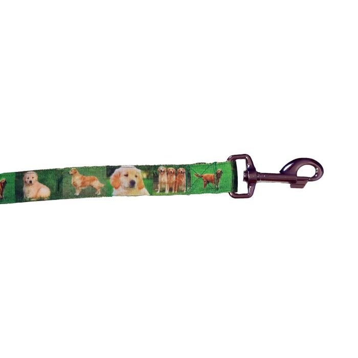 Golden Retriever Leash, 6 ft. long, Green