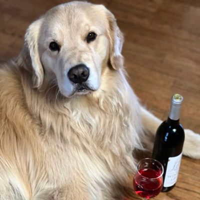 Wine and Candle Contest