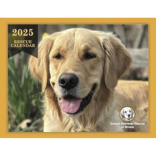 Golden Retriever Rescue Calendar 2025 Eloisa Bettina
