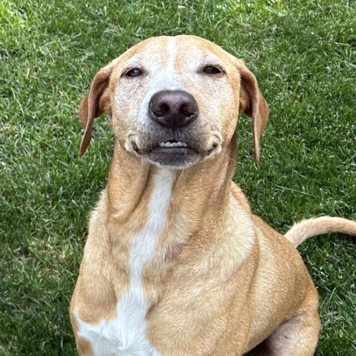Contestant 24-08: Chesney
