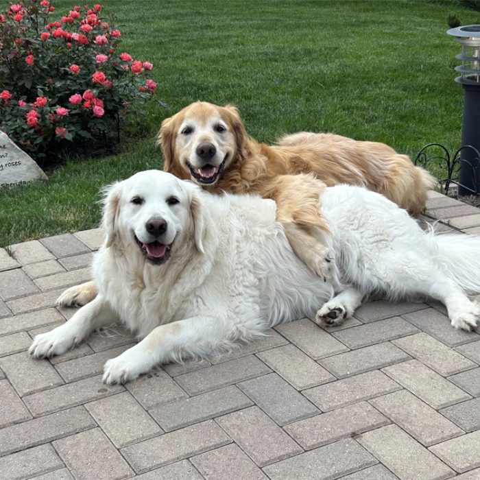 Contestant 24-17: Sarge and Teddy