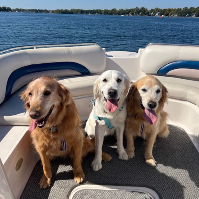 Contestant 24-42: Bella, Allie and Abby