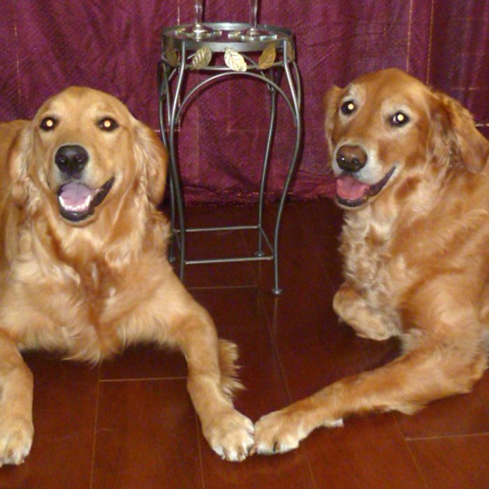Contestant 24-46: Maya and Holly