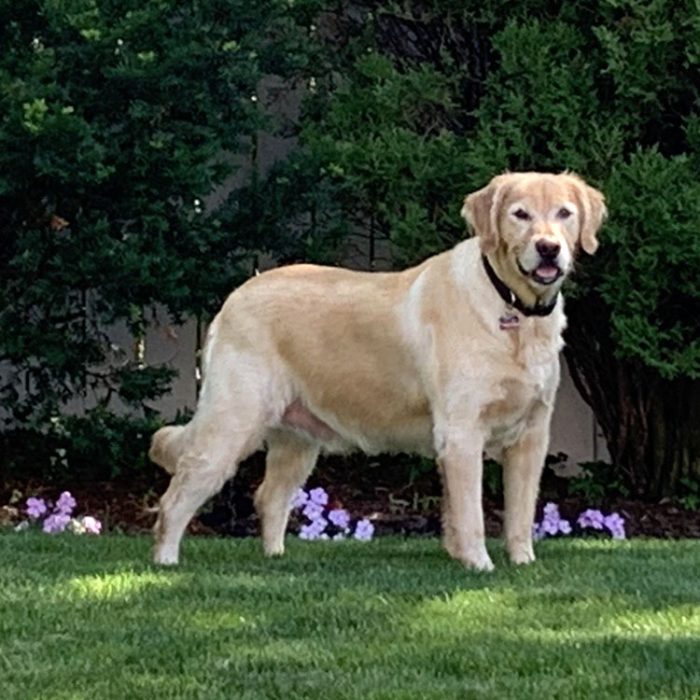 Contestant 24-71: Max