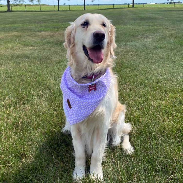 Contestant 24-72: Winnie