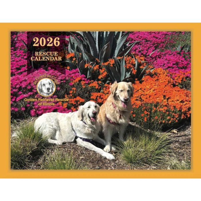2026 Rescue Calendar