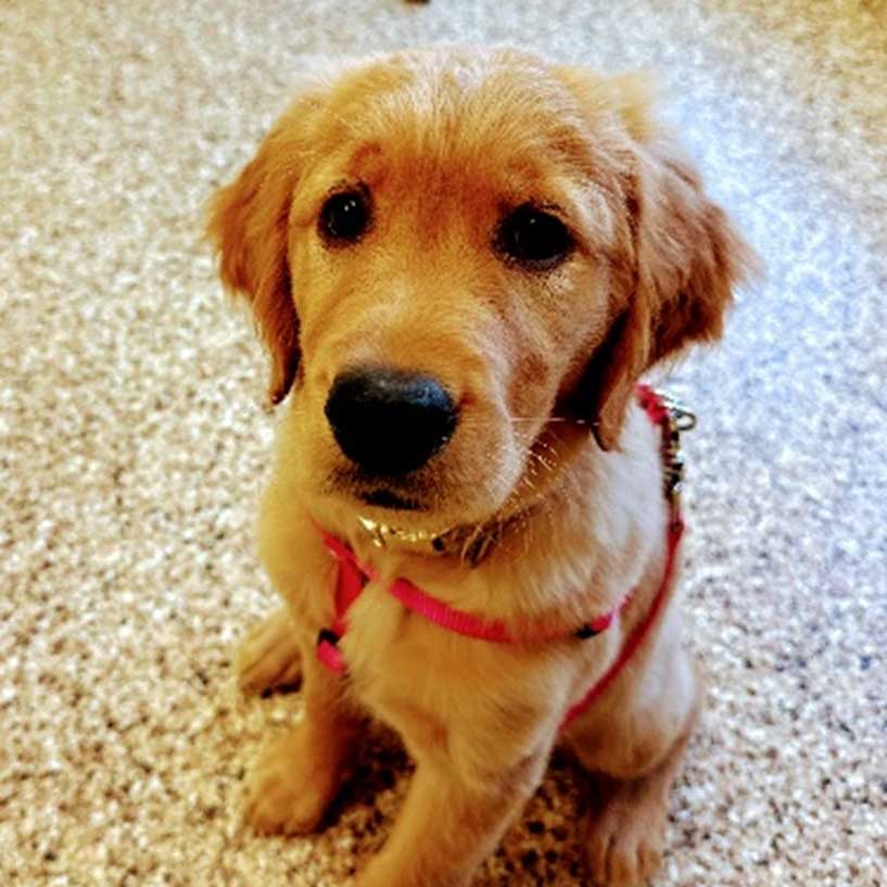 Winnie Jo