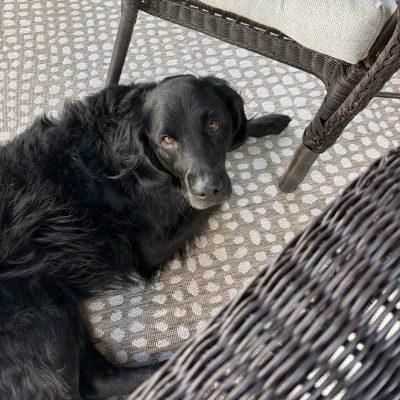 Bernie
