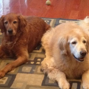 Molly success story