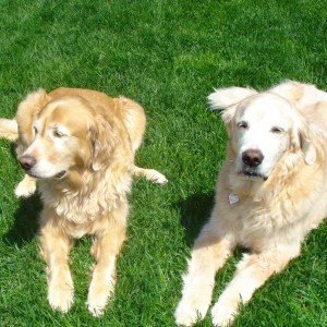 Iggy & Max