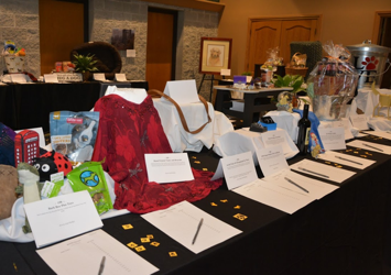 Silent Auction